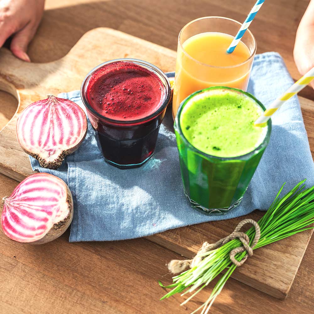 Slow Juicer Advanced Vital by GASTROBACK - 60145