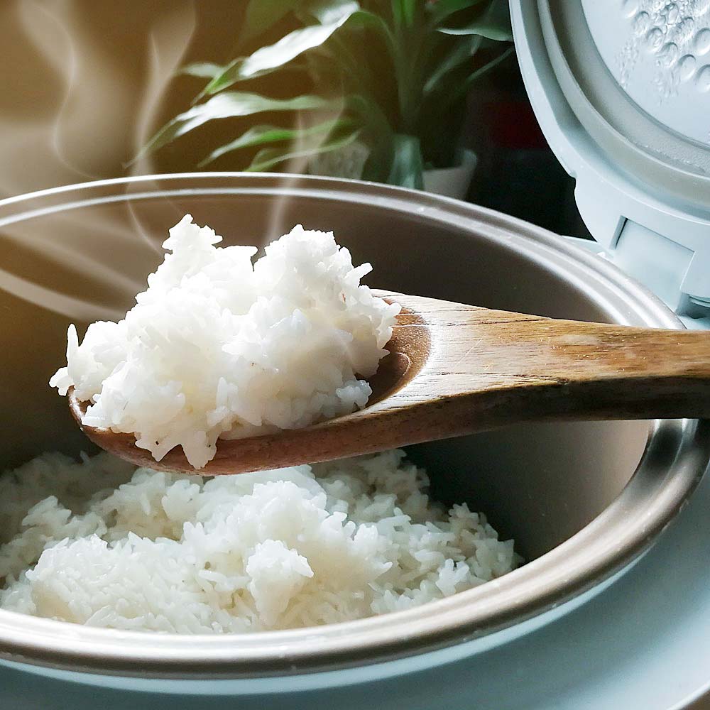 Design 3 litre Rice Cooker by GASTROBACK - 62507