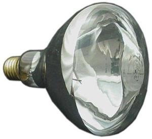 Universal 300 watt screw in bulb